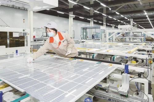 乘兩會東風(fēng) 以營商沃土育新能之苗